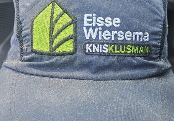 Knis